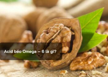 Acid béo Omega – 6 là gì?