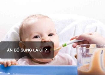 Ăn bổ sung là gì?