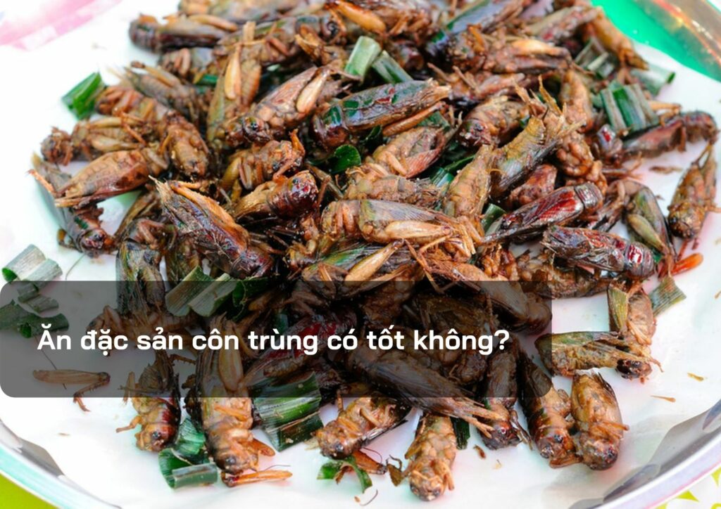 Ăn đặc sản côn trùng có tốt không?