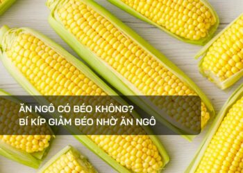 Ăn ngô có béo không?