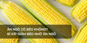Ăn ngô có béo không?