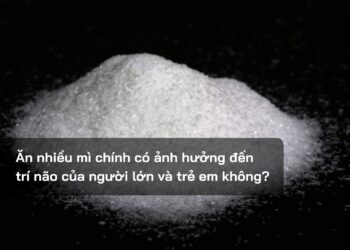 Ăn nhiều mì chính có ảnh hưởng đến trí não của người lớn và trẻ em không?