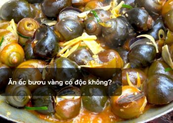 Ăn ốc bươu vàng có độc không?