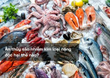 Ăn thủy sản nhiễm kim loại nặng, độc hại thế nào?