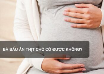 Bà bầu ăn thịt chó có được không?