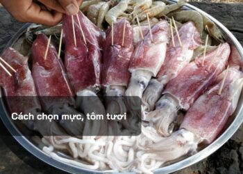 Cách chọn mực, tôm tươi