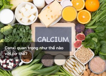 Canxi quan trọng như thế nào với cơ thể?