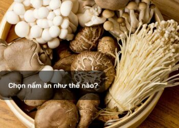 Chọn nấm ăn như thế nào?