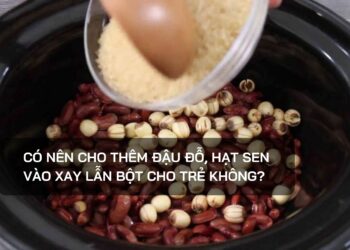 Có nên cho thêm đậu đỗ, hạt sen vào xay lẫn bột cho trẻ không?