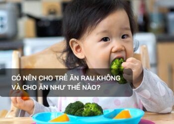 Có nên cho trẻ ăn rau không và cho ăn như thế nào?