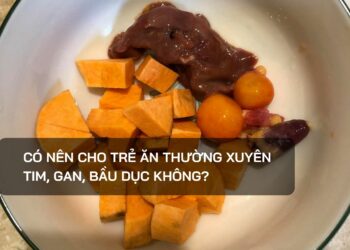 Có nên cho trẻ ăn thường xuyên tim, gan, bầu dục không?