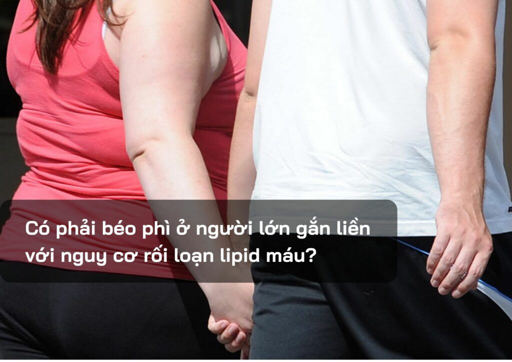 Có phải béo phì ở người lớn gắn liền với nguy cơ rối loạn lipid máu?