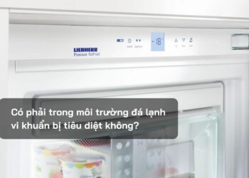 Có phải trong môi trường đá lạnh vi khuẩn bị tiêu diệt không?