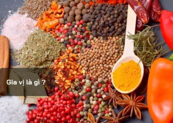Gia vị là gì ?