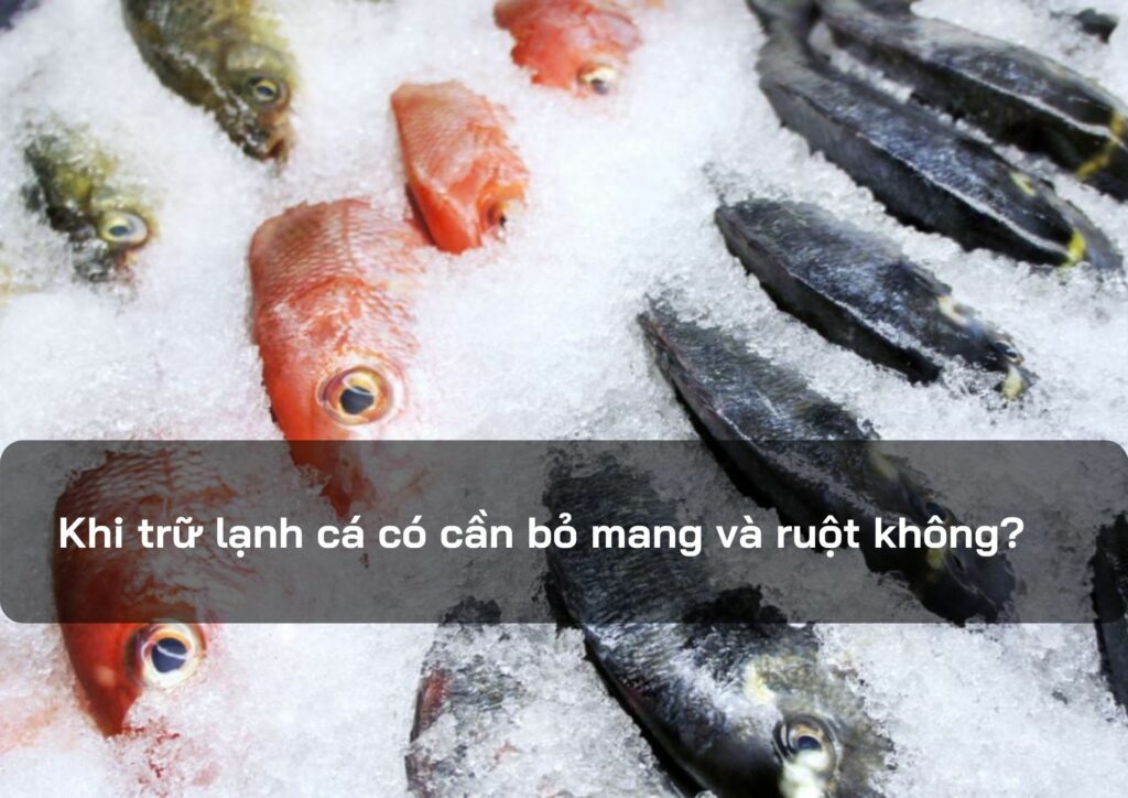 Khi trữ lạnh cá có cần bỏ mang và ruột không?