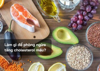 Làm gì để phòng ngừa tăng cholesterol máu?