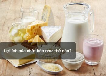 Lợi ích của chất béo như thế nào?