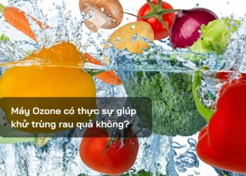 Máy Ozone có thực sự giúp khử trùng rau quả không?