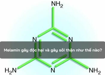 Melamin gây độc hại và gây sỏi thận như thế nào?