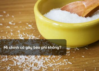 Mì chính có gây béo phì không?