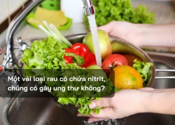 Một vài loại rau có chứa nitrit, chúng có gây ung thư không?