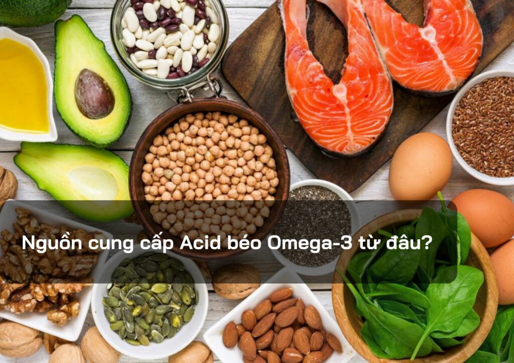 Nguồn cung cấp Acid béo Omega-3 từ đâu?