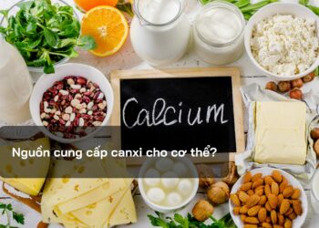 Nguồn cung cấp canxi cho cơ thể?