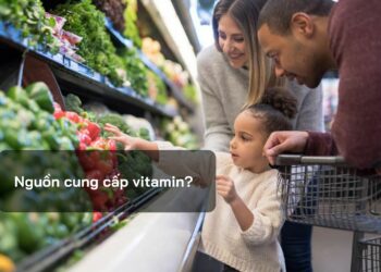 Nguồn cung cấp vitamin?