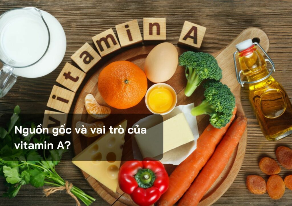 Nguồn gốc và vai trò của vitamin A?