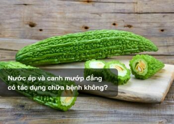 Nước ép và canh mướp đắng có tác dụng chữa bệnh không?