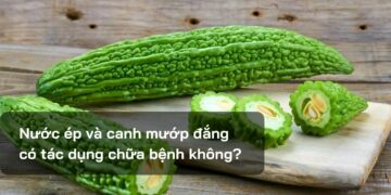 Nước ép và canh mướp đắng có tác dụng chữa bệnh không?