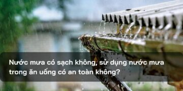 Nước mưa có sạch không, sử dụng nước mưa trong ăn uống có an toàn không?