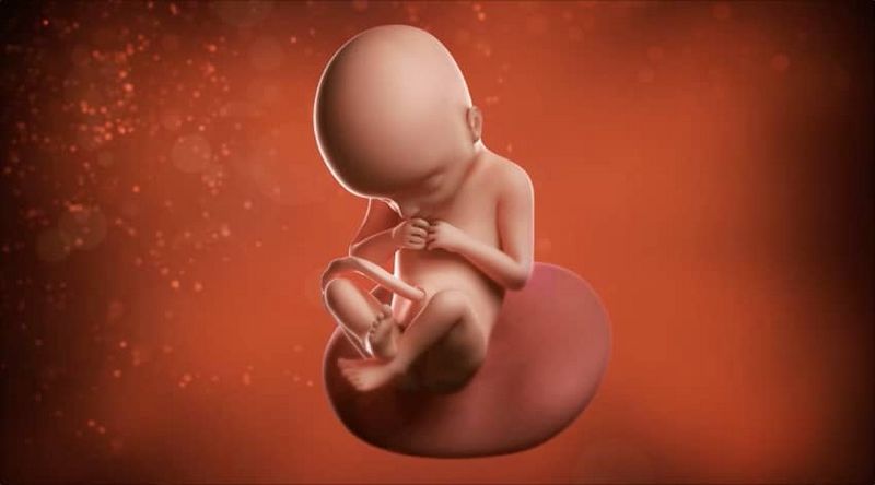 Sự phát triển thai nhi tuần 22 như thế nào?