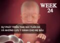 Sự phát triển thai nhi tuần 24