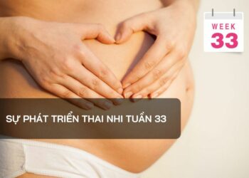 Sự phát triển thai nhi tuần 33
