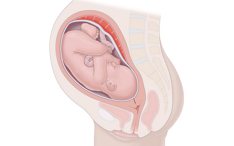 Mẹ bầu cần lưu ý gì khi mang thai 35 tuần