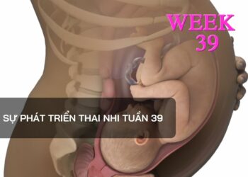 Sự phát triển thai nhi tuần 39
