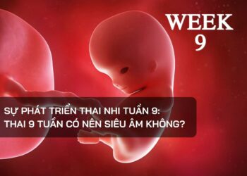 Sự phát triển thai nhi tuần 9