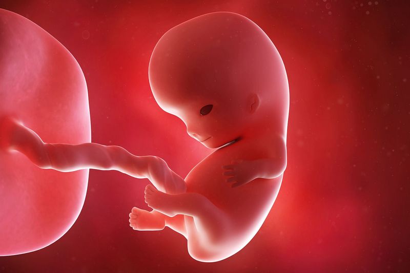 Sự phát triển thai nhi tuần 9 như thế nào?