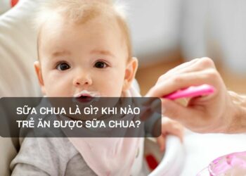 Sữa chua là gì? Khi nào trẻ ăn được sữa chua?