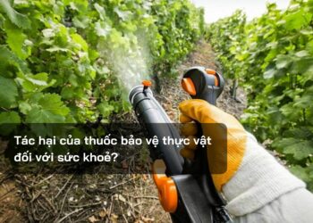 Tác hại của thuốc bảo vệ thực vật đối với sức khoẻ?