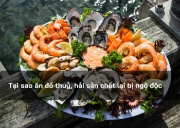 Tại sao ăn đồ thuỷ, hải sản chết lại bị ngộ độc