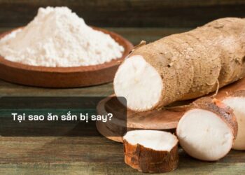 Tại sao ăn sắn bị say?