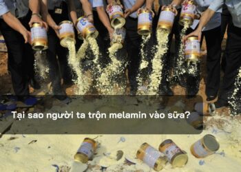 Tại sao người ta trộn melamin vào sữa?