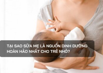Tại sao sữa mẹ là nguồn dinh dưỡng hoàn hảo nhất cho trẻ nhỏ?