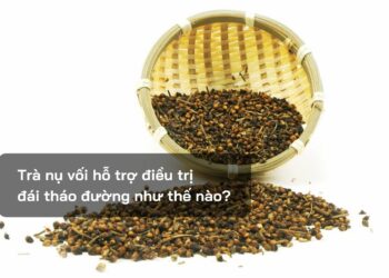 Trà nụ vối hỗ trợ điều trị Đái tháo đường như thế nào?