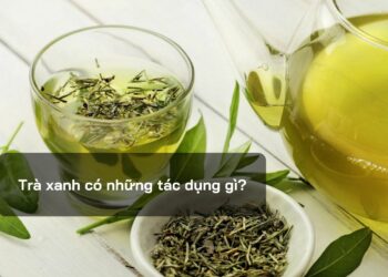 Trà xanh có những tác dụng gì?