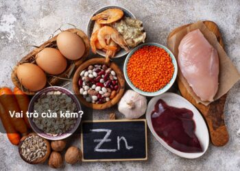 Vai trò của kẽm?
