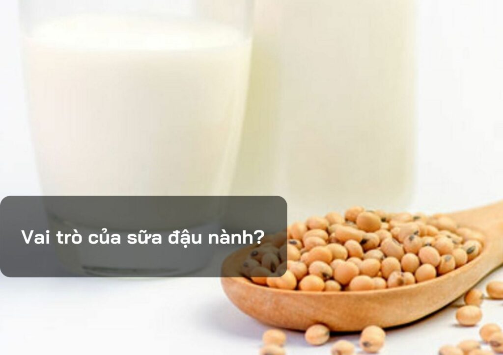 Vai trò của sữa đậu nành?