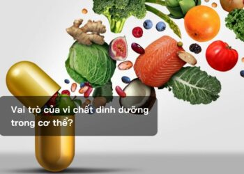Vai trò của vi chất dinh dưỡng trong cơ thể?